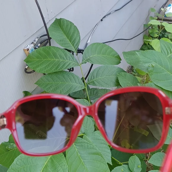 MICHAEL Michael Kors women's sunglasses color red size os - Picture 11 of 16